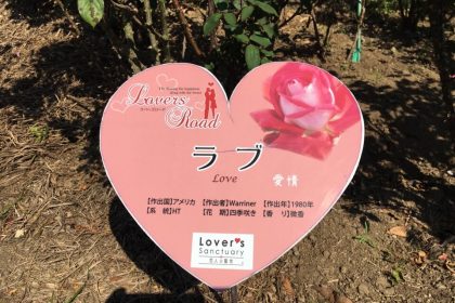 【かのやばら園】地元民が解説!鹿児島屈指のインスタ映えスポット!