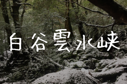 【屋久島|白谷雲水峡】ジブリファンが『もののけ姫の森』に突撃!太鼓岩往復コースの感想【冬編】