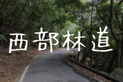 【屋久島｜西部林道】腕試し？めちゃくちゃ狭い世界遺産の道を攻める！