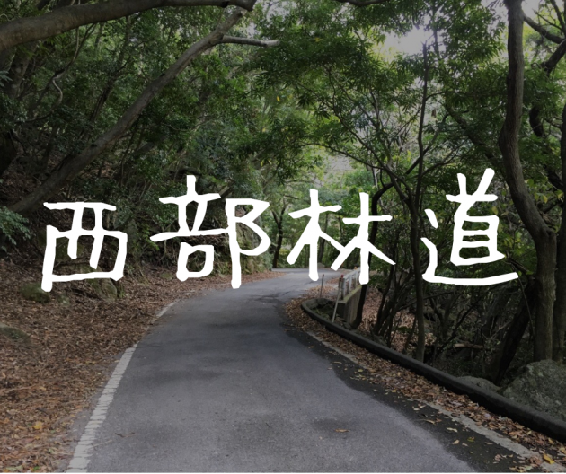 【屋久島｜西部林道】腕試し？めちゃくちゃ狭い世界遺産の道を攻める！