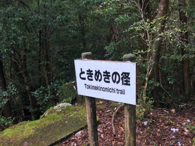 ヤクスギランド入り口