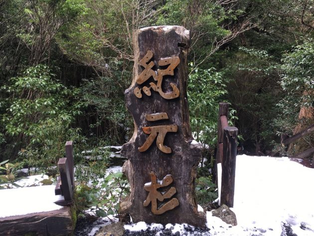 紀元杉看板