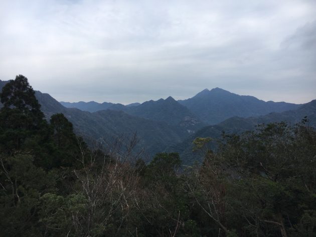 ヤクスギランドへの道の途中の景色
