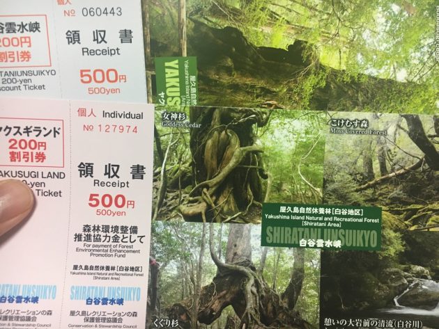 ヤクスギランドと白谷雲水峡の領収書