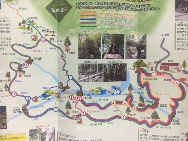 ヤクスギランドのマップ