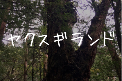 【屋久島|ヤクスギランド】ネーミングはアレだけど超おすすめ観光スポットです!
