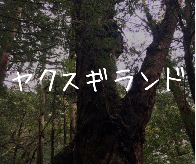 【屋久島|ヤクスギランド】ネーミングはアレだけど超おすすめ観光スポットです!
