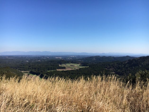 狐ヶ丘高原の頂上からの景色