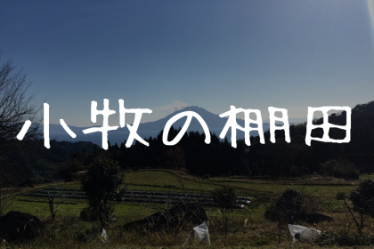 【小牧の棚田】ひっそりと在る。鹿児島の古き良きを感じる棚田