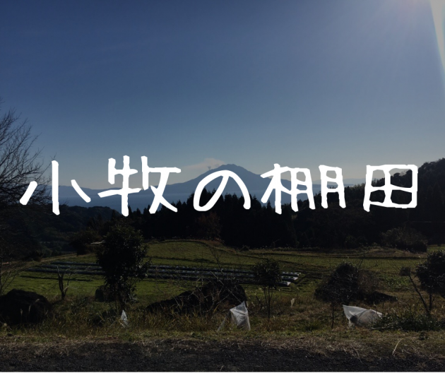 【小牧の棚田】ひっそりと在る。鹿児島の古き良きを感じる棚田