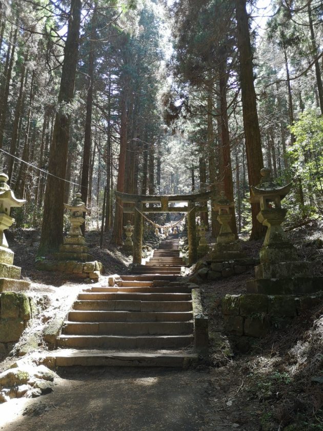 【上色見熊野座神社】まさに異世界へと続く神社！『蛍火の社へ』の舞台【行き方・感想】