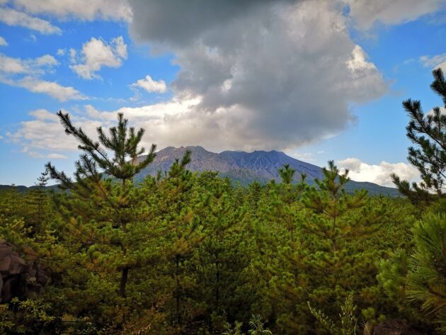 烏島展望所からの桜島