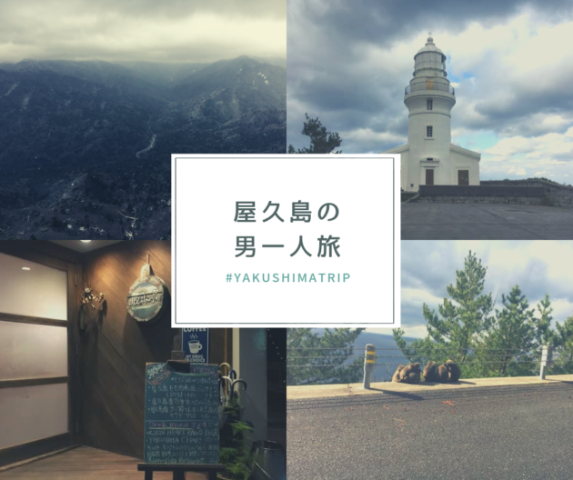 屋久島の男一人旅|初めての屋久島(冬)を体験した感想