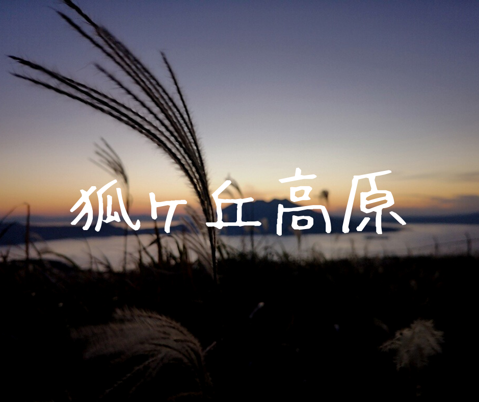 【狐ヶ丘高原】金色のススキに囲まれて見る桜島が超絶景の穴場スポット